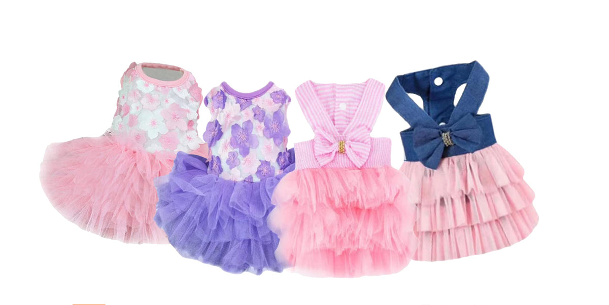 Tapbull dog dresses striped mesh four-pack front view showcases vibrant purple and pink colors for stylish outings.
