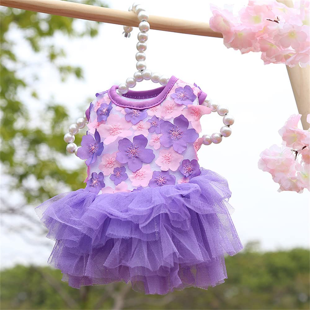 Tapbull hanger image highlights purple and pink colorways for versatile styling options.