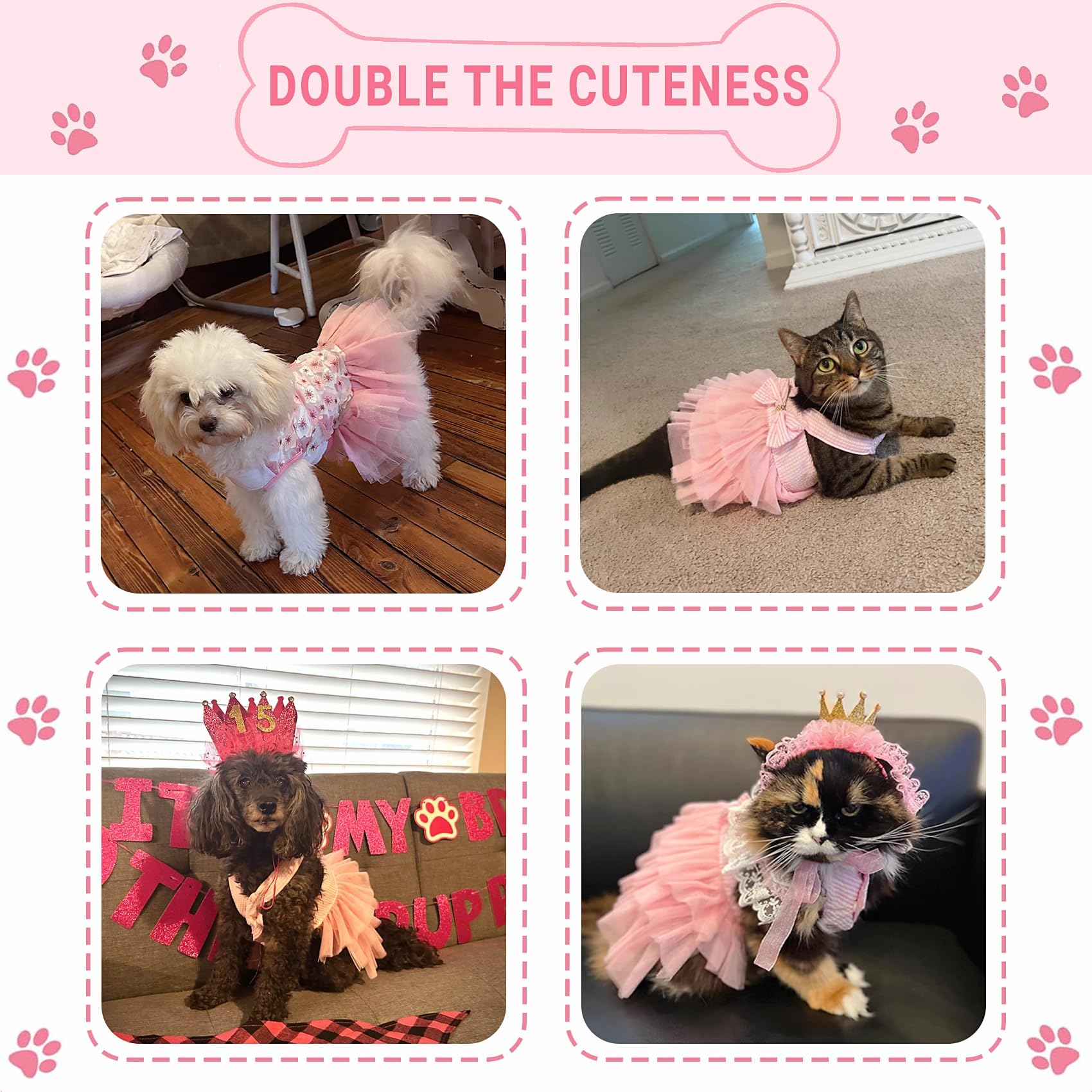 Tapbull packaging image showcases a gift-ready four-pack for pet lovers and planners.