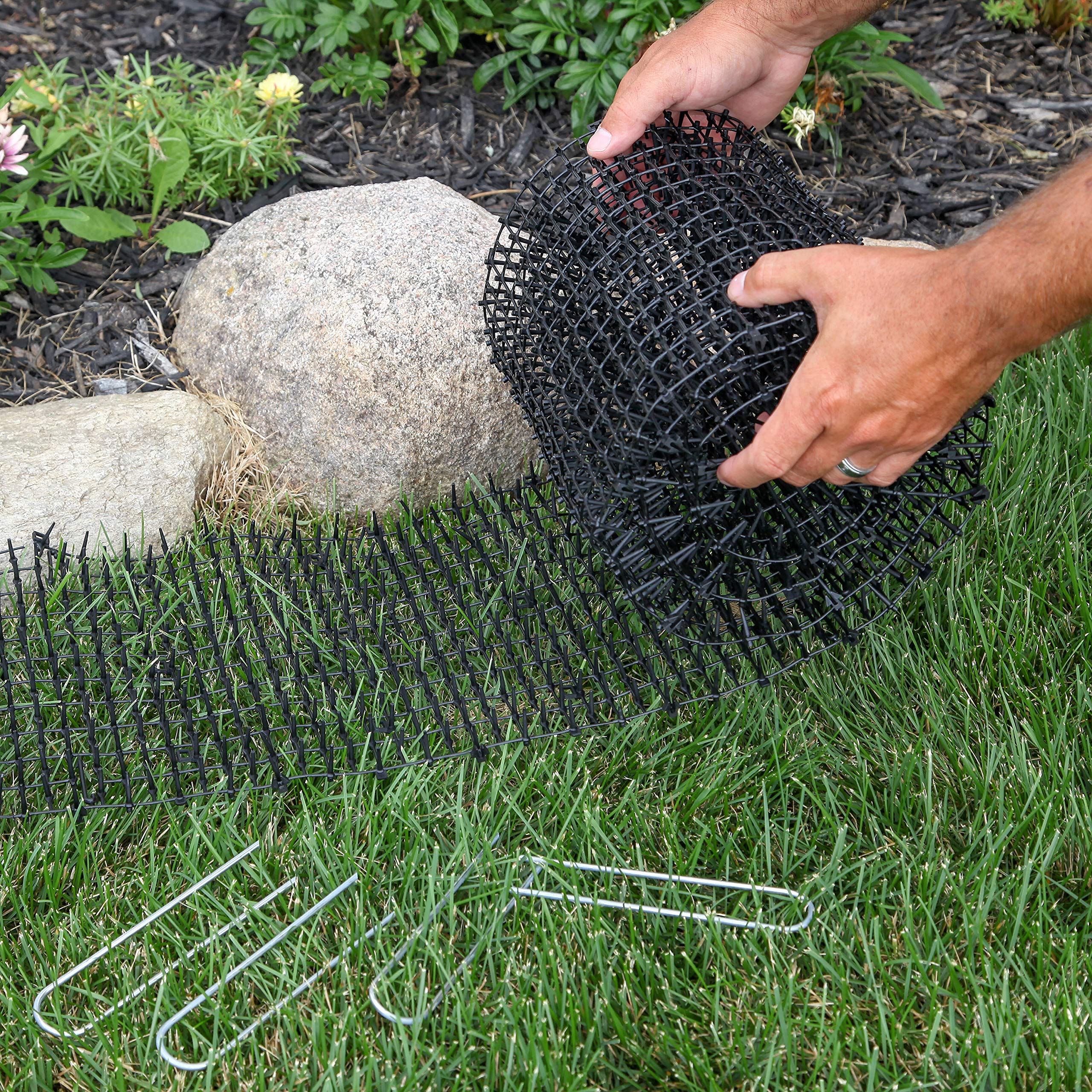 Tapix cat deterrent mat wrapping around a tree to guide pets away