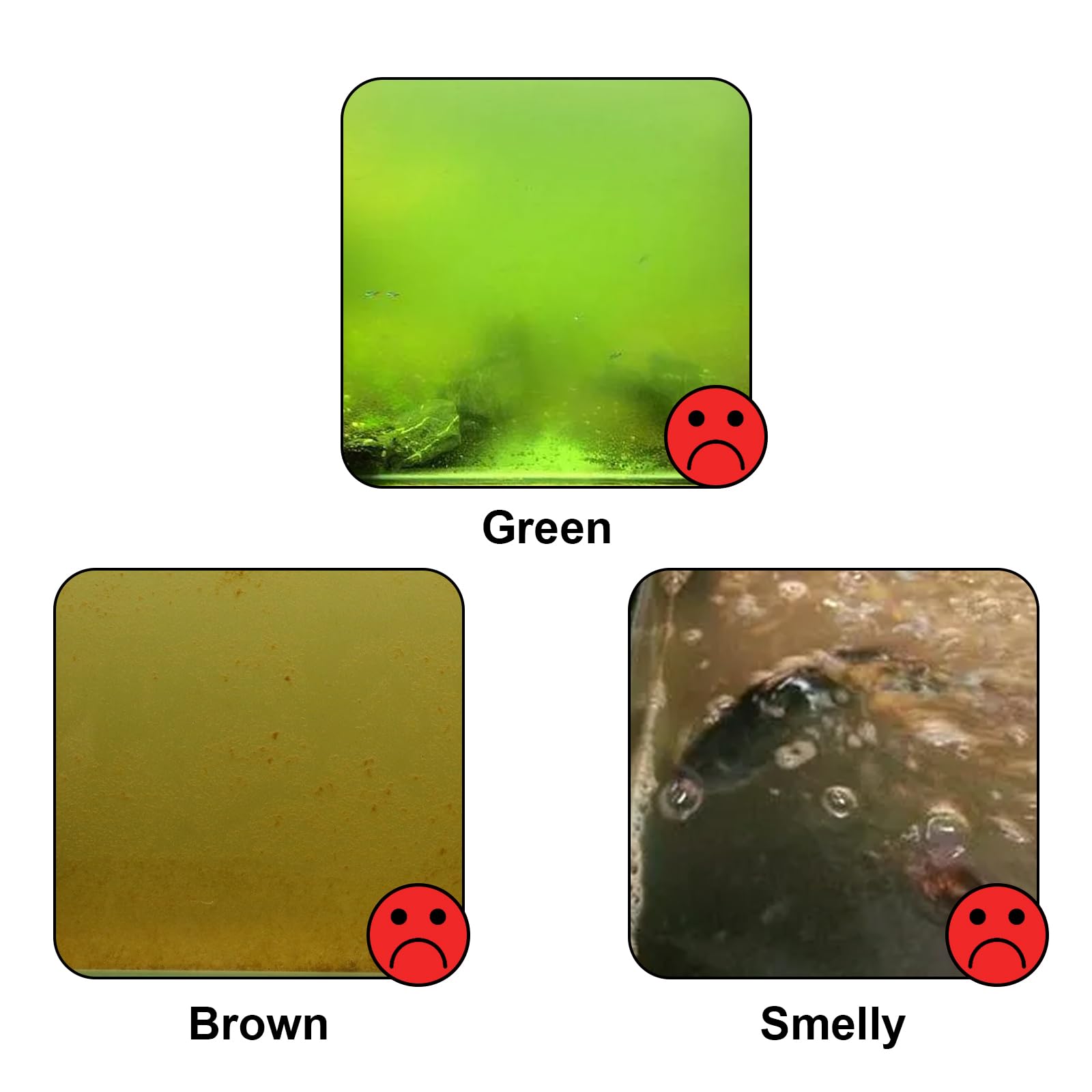 Tararium Aquarium Light 7W cloudy water after suggests improved transparency