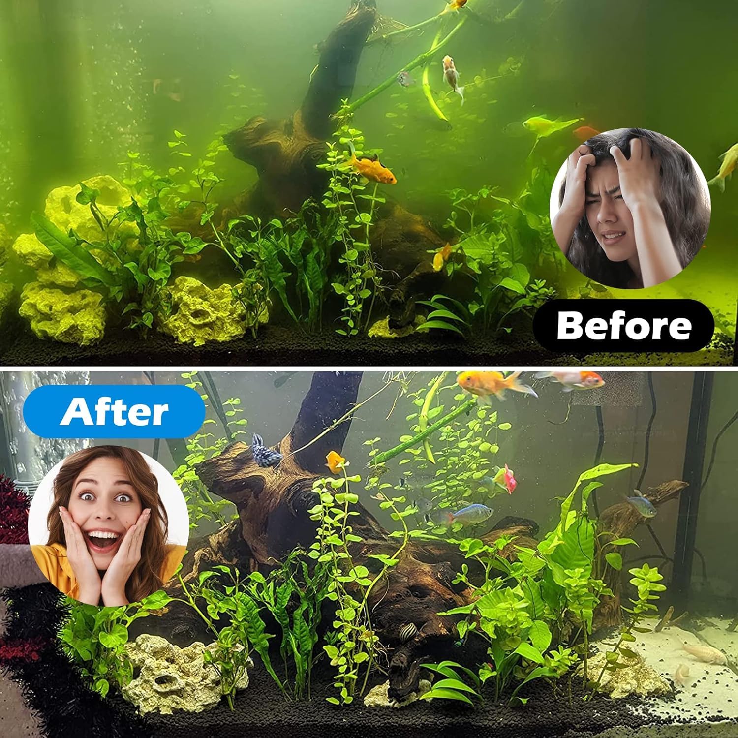 TARARIUM small fish tank filter double filtration demonstrates Biochemical sponge plus UV purification