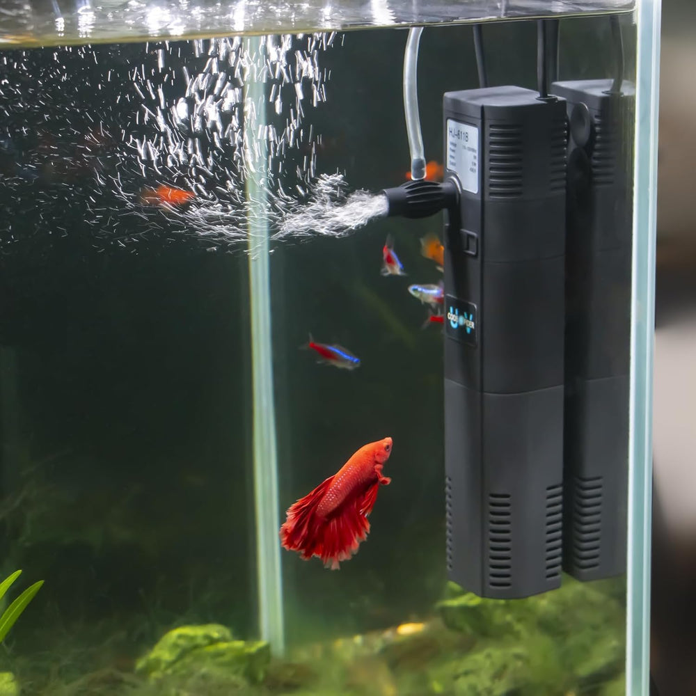 TARARIUM small fish tank filter front view shows compact unit improving clarity in 10-20 gallon tanks