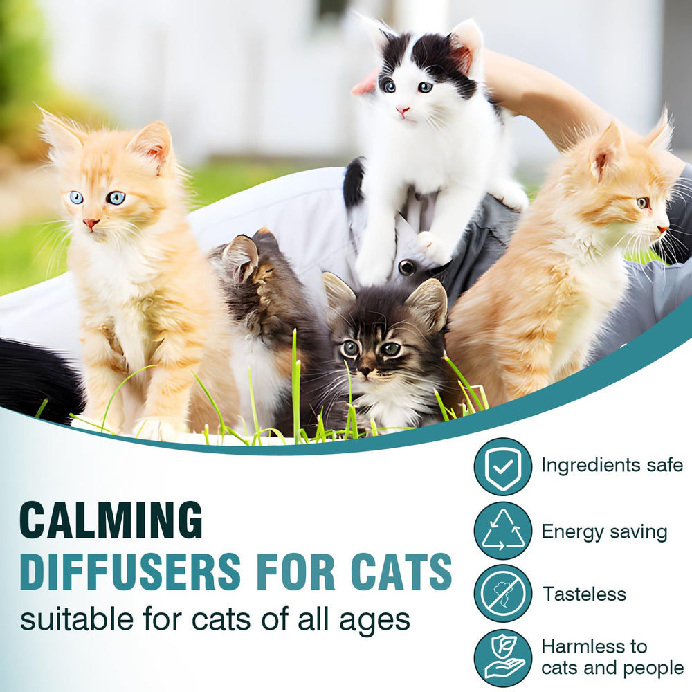 Taraxa Cat Calming Diffuser is odorless and safe for homes with cats