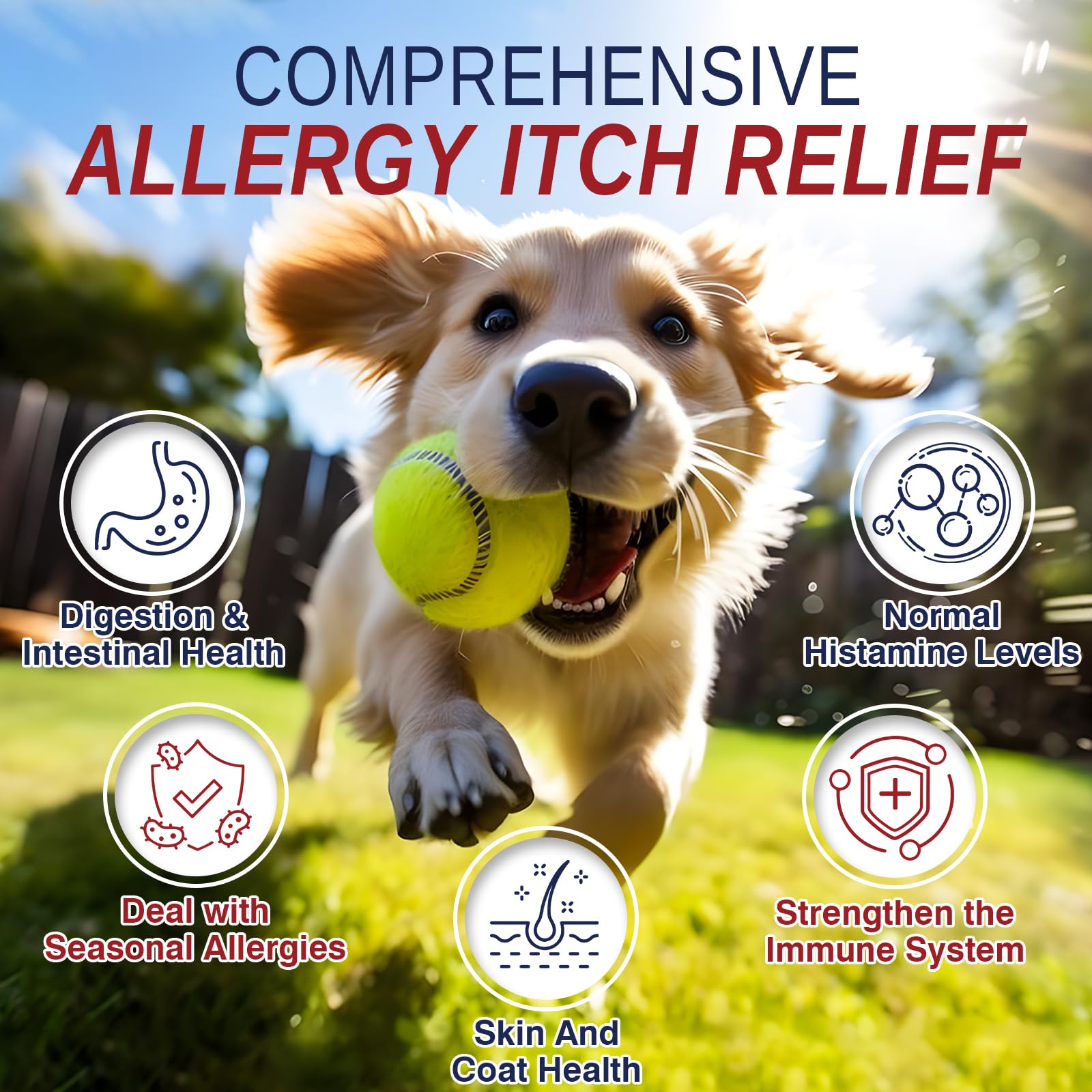 Taraxa itching skin closeup shows comfort-ready relief for dogs.