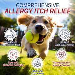 Taraxa itching skin closeup shows comfort-ready relief for dogs.