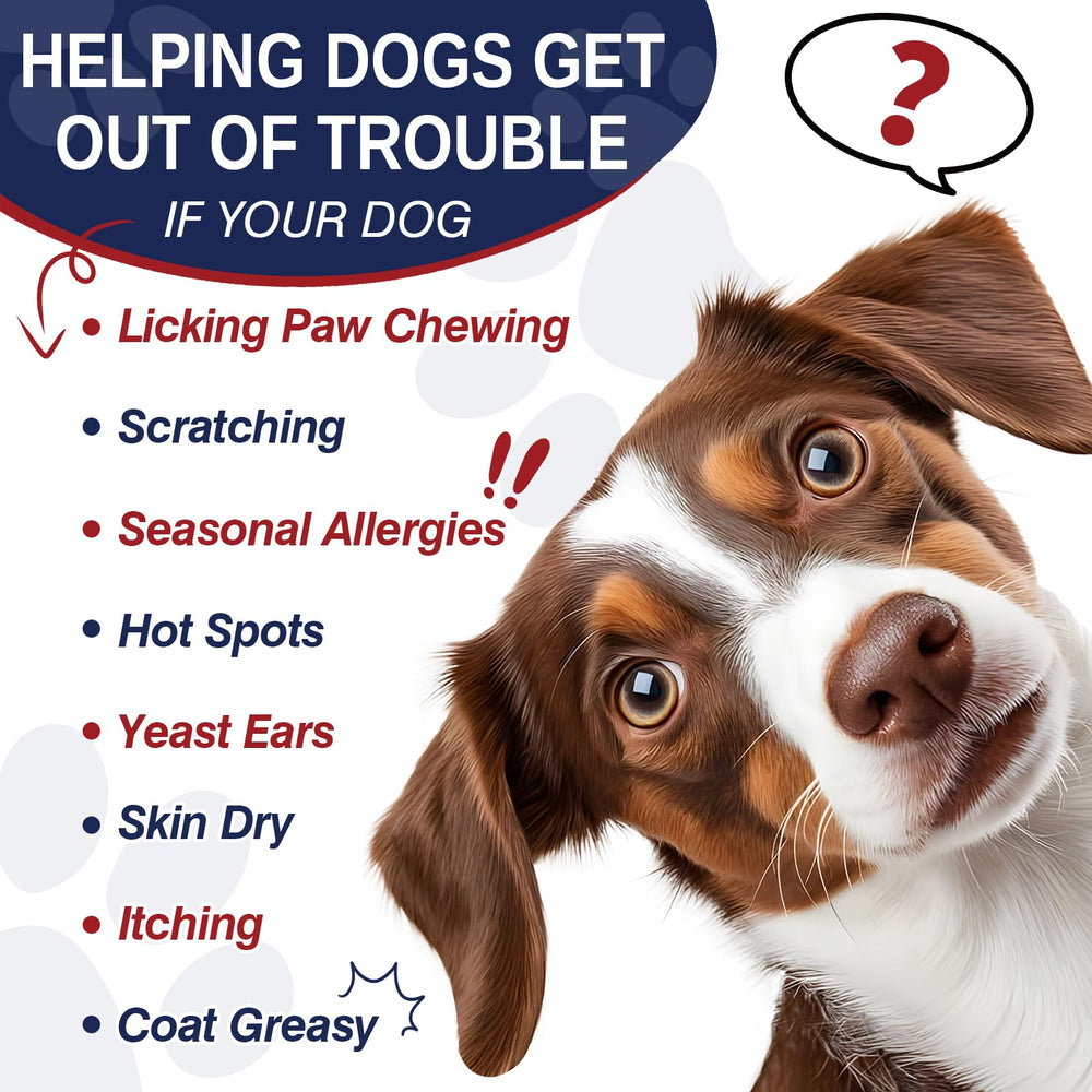 Taraxa itchy ears closeup suggests gentle care for canine ear discomfort.