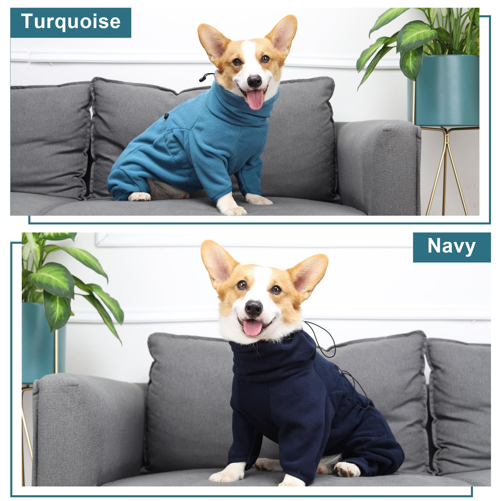 TARFEPA dog wearing coat on a walk, comfortable warmth outdoors