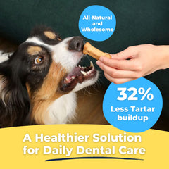 Tartar Shield chicken-flavored biscuits entice dogs for regular chewing.