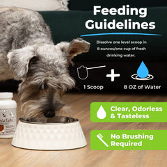 Tasteless and odorless DentaTabs formula shown as a daily routine aid.