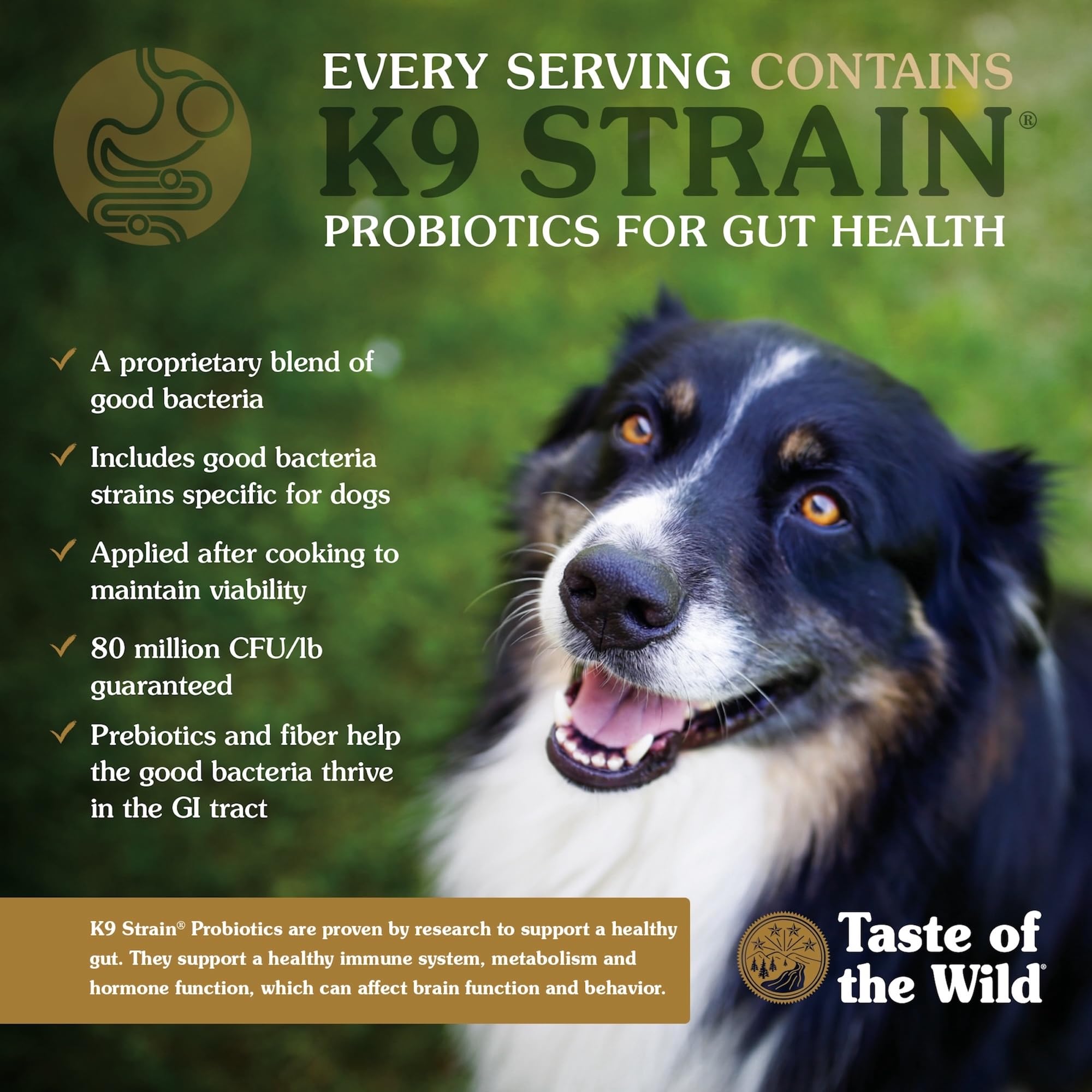 Taste of the Wild Appalachian Valley omega-fatty-acids image for healthy skin and coat