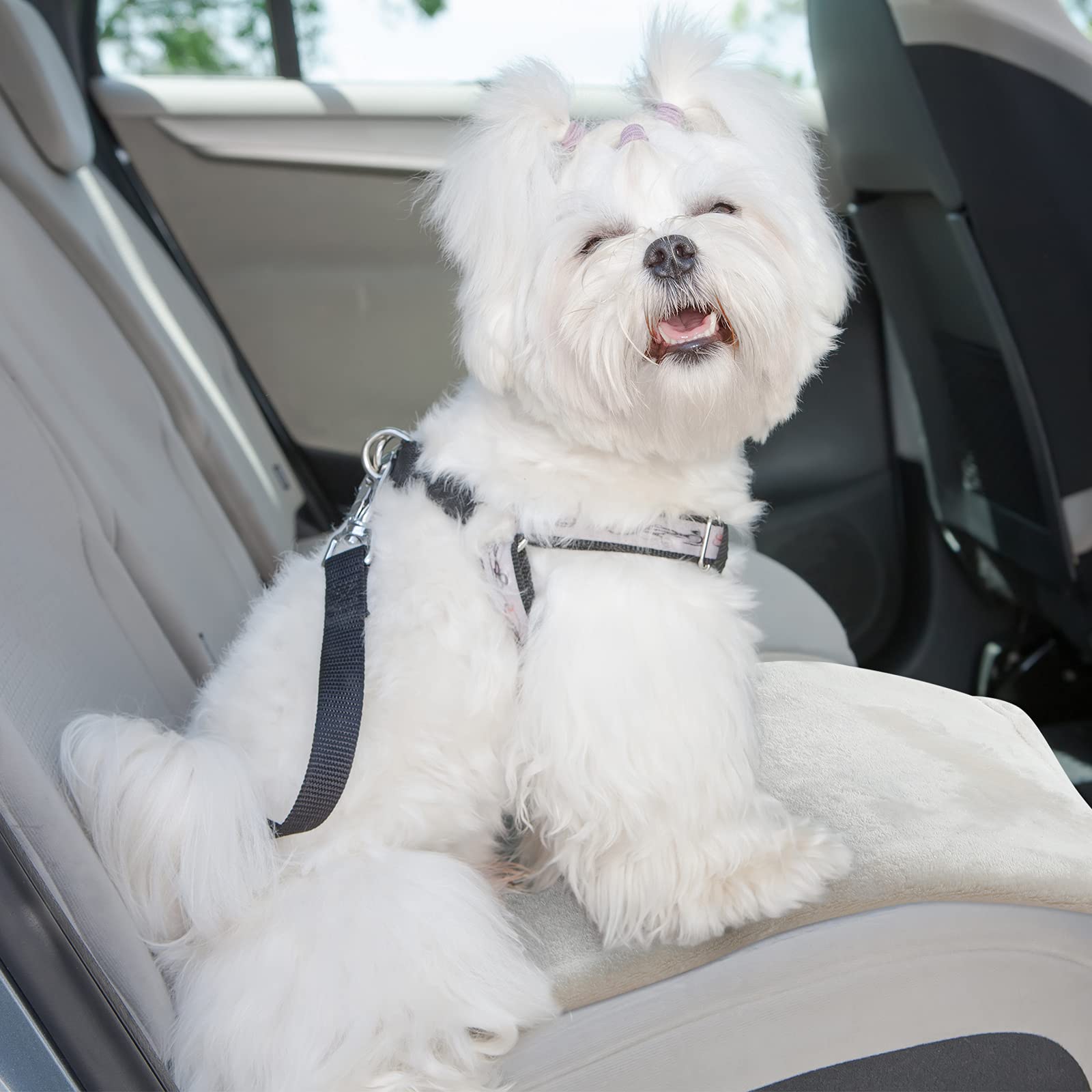 tatuo foldable pet blanket stores compactly for travel