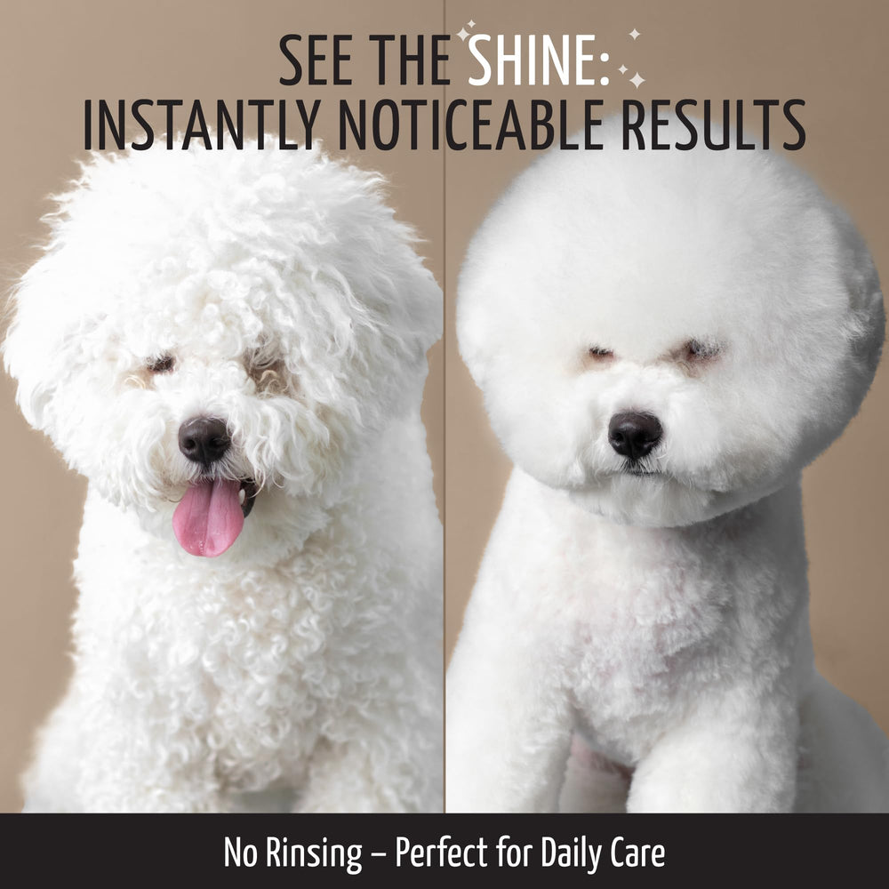 Tauro Pro Line cat and dog mat care for easier grooming