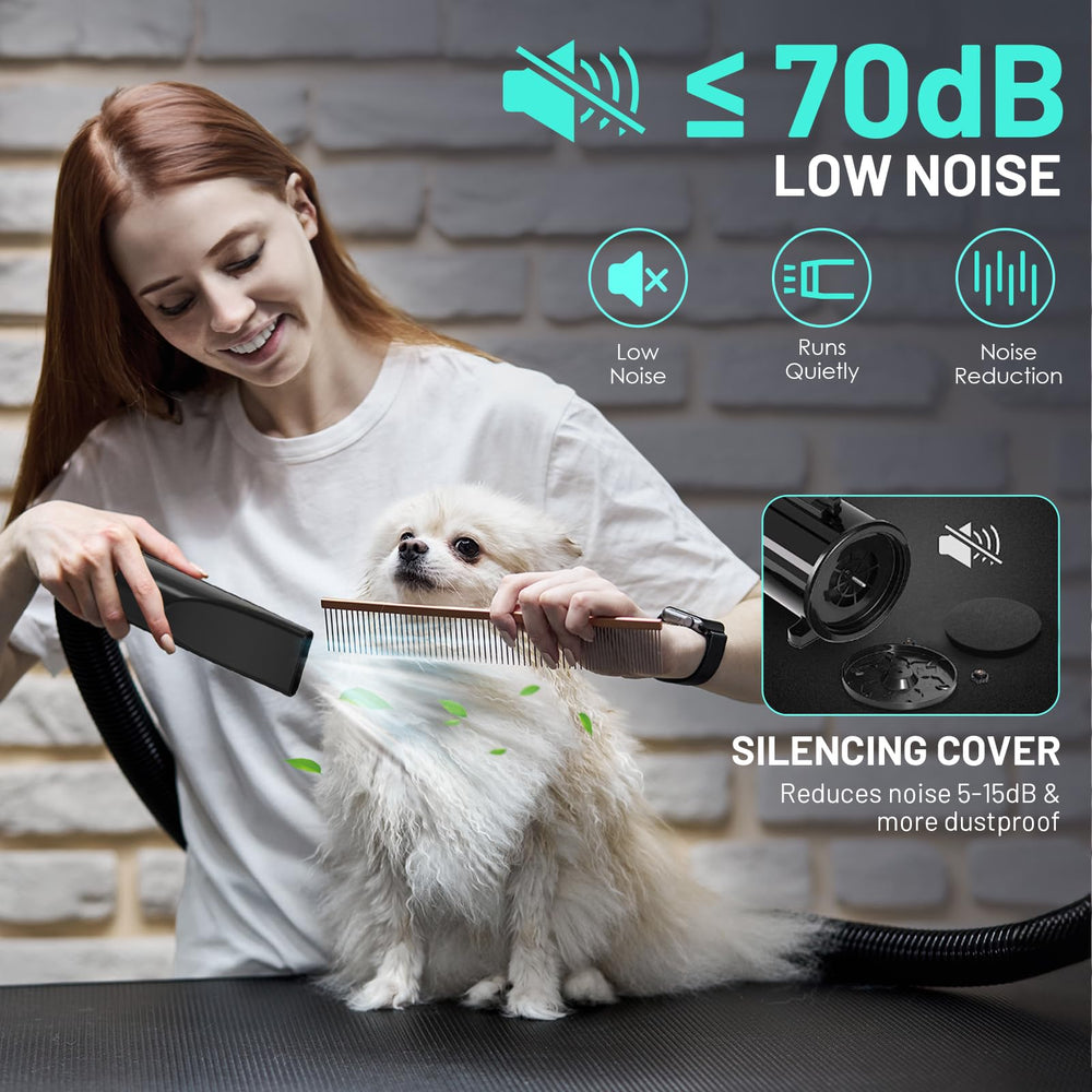 TBC PET dog dryer heat and temperature control for breed-specific comfort.