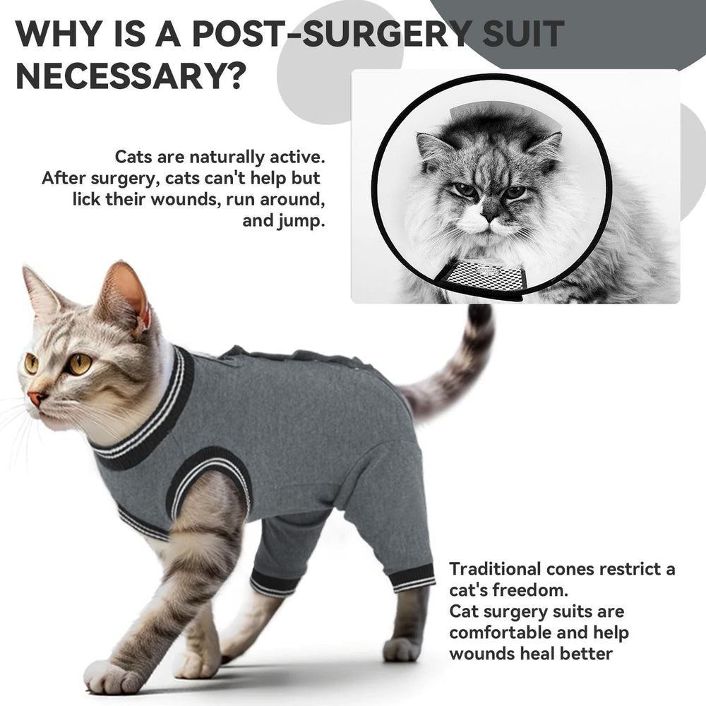 T'CHAQUE cat wearing recovery suit for post-surgery comfort in living room