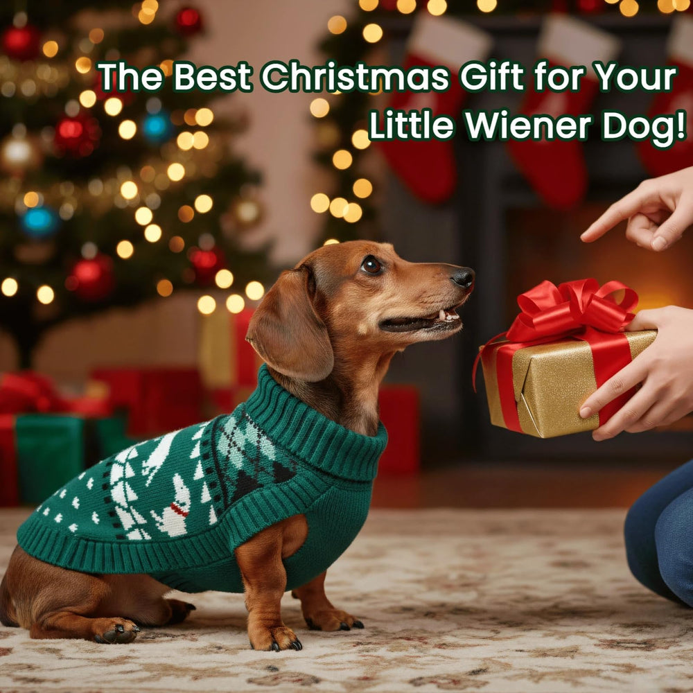 T'CHAQUE Christmas dachshund sweater XL size worn by larger dachshunds