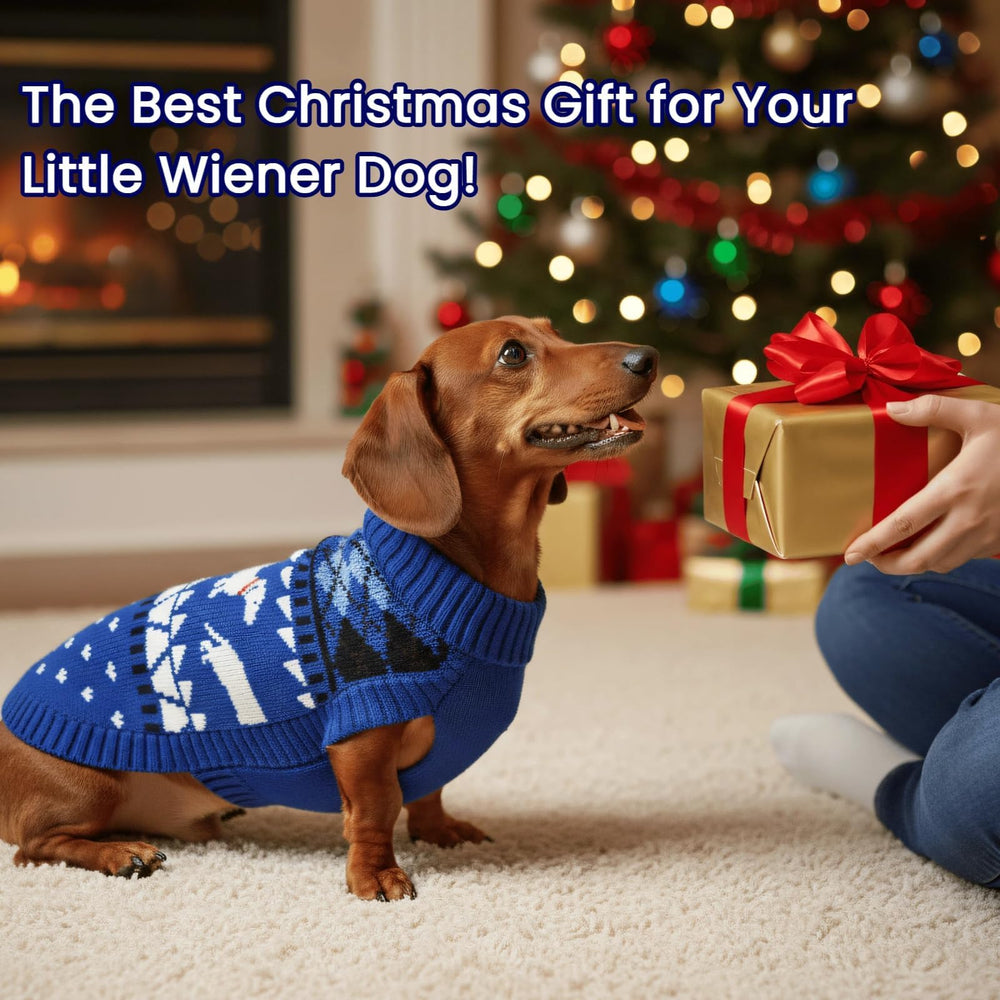 T’CHAQUE dog sweater worn indoors and outdoors for comfort in cool weather