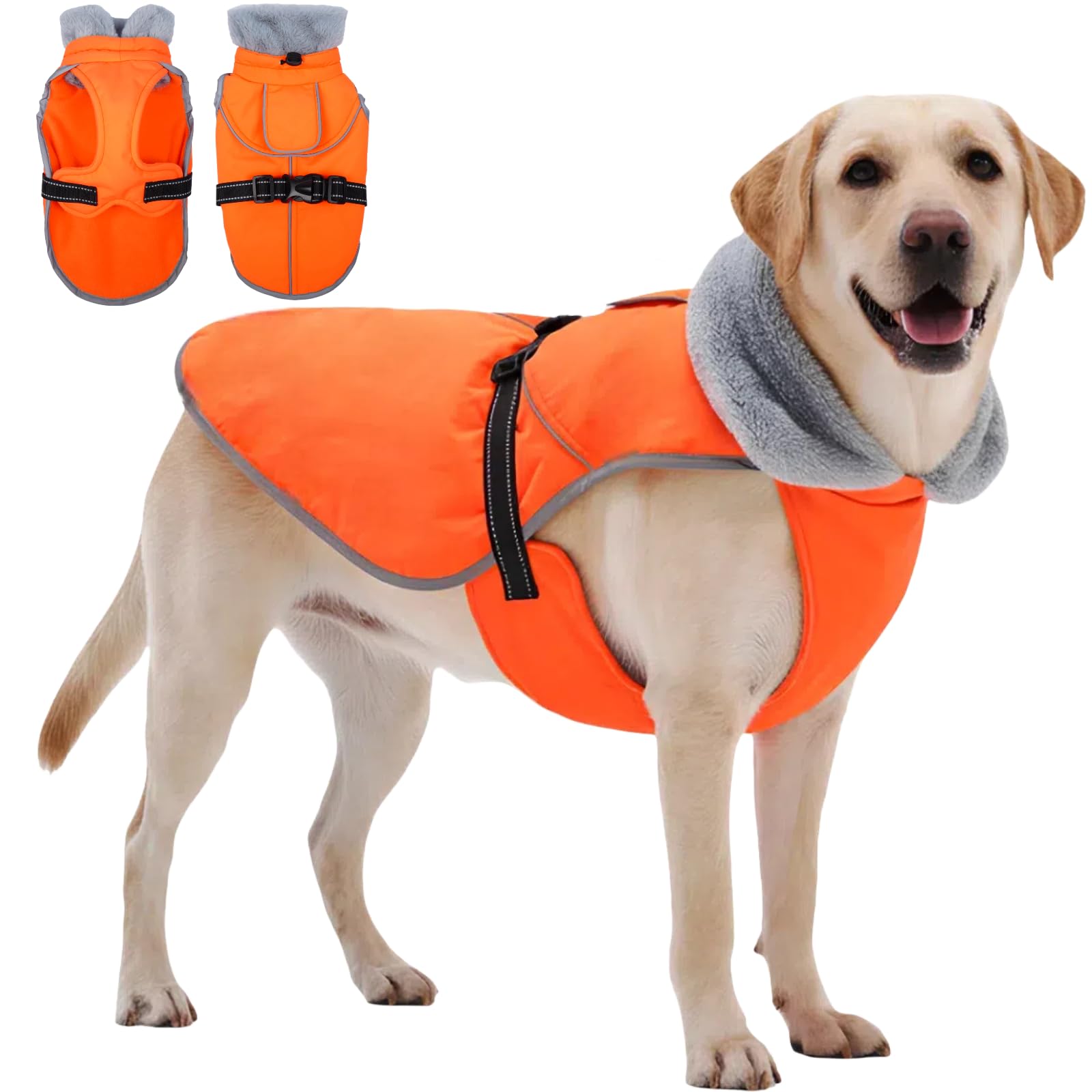 T'CHAQUE insulated dog winter jacket with full-body reflective strip for nighttime visibility and warmth.