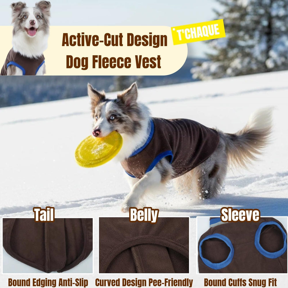 T'CHAQUE reflective neckline strip visible on a dark coat during dawn walk for safety.