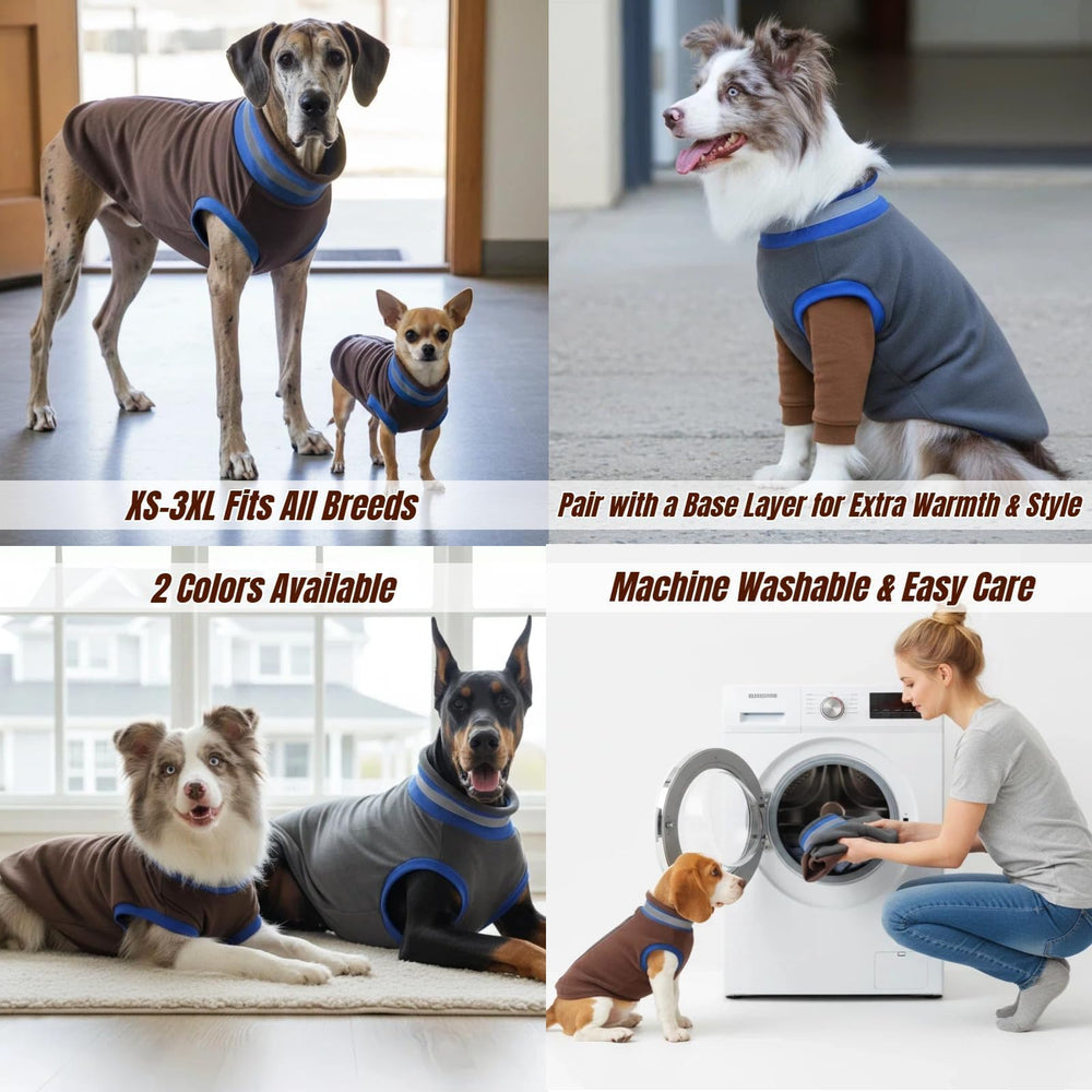 T'CHAQUE two-tone Natural Brown and Vibrant Gray on model dog showcasing style.