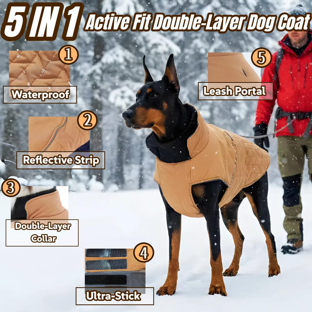 T'CHAQUE dog coat with dual high collar provides neck warmth during chilly walks.