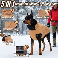 T'CHAQUE dog coat with dual high collar provides neck warmth during chilly walks.