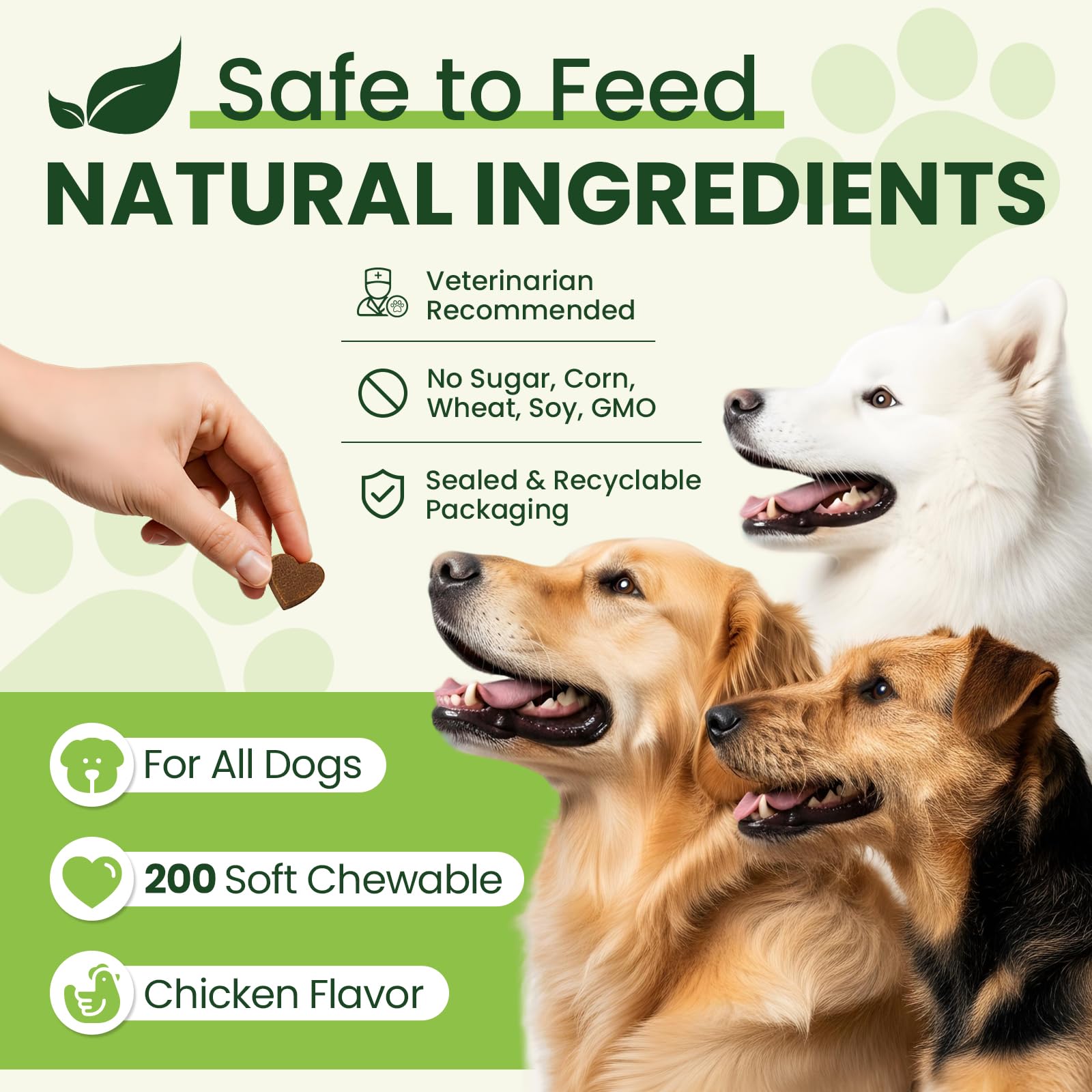 Tciika, probióticos para perros, salud digestiva y absorción de nutrientes.