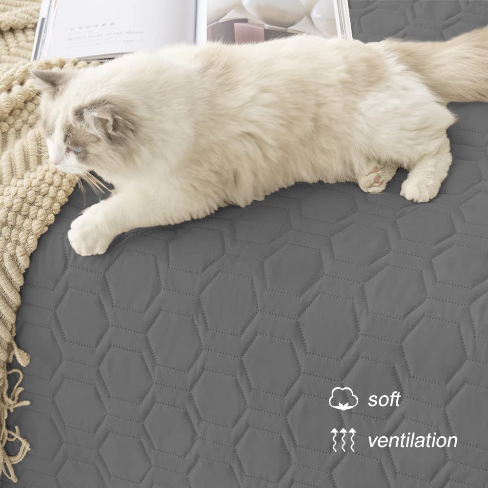 Tcksstex gift-ready-pet-blanket makes a practical present for pet lovers.