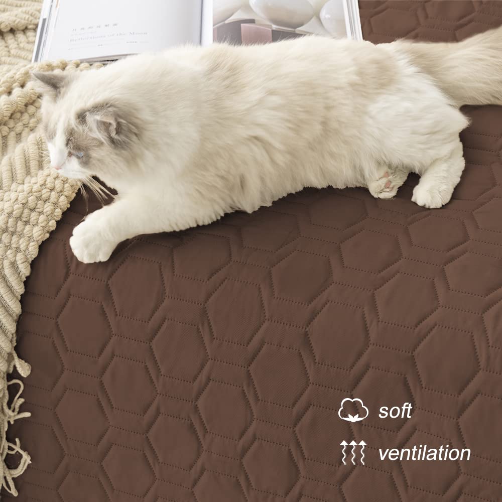 Tcksstex machine washable cover demonstrates easy care after washing.