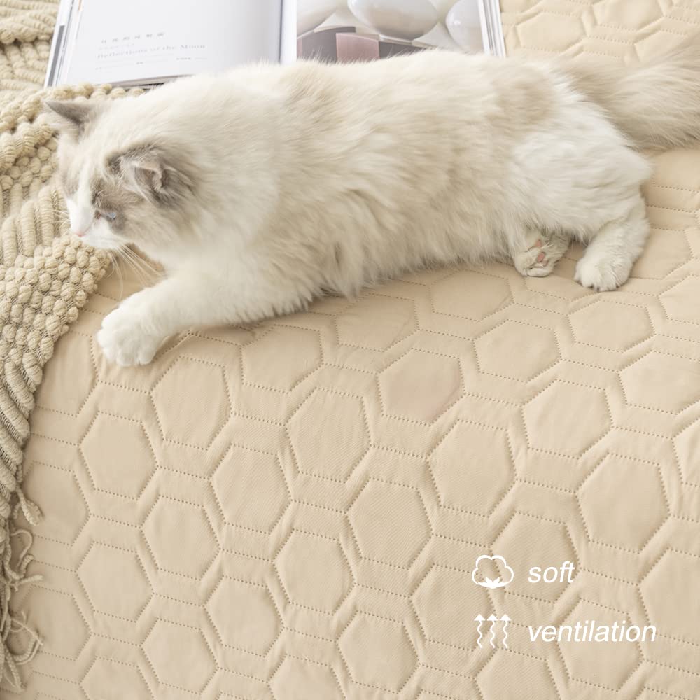 Tcksstex multifunctional pet blanket used as outdoor picnic mat