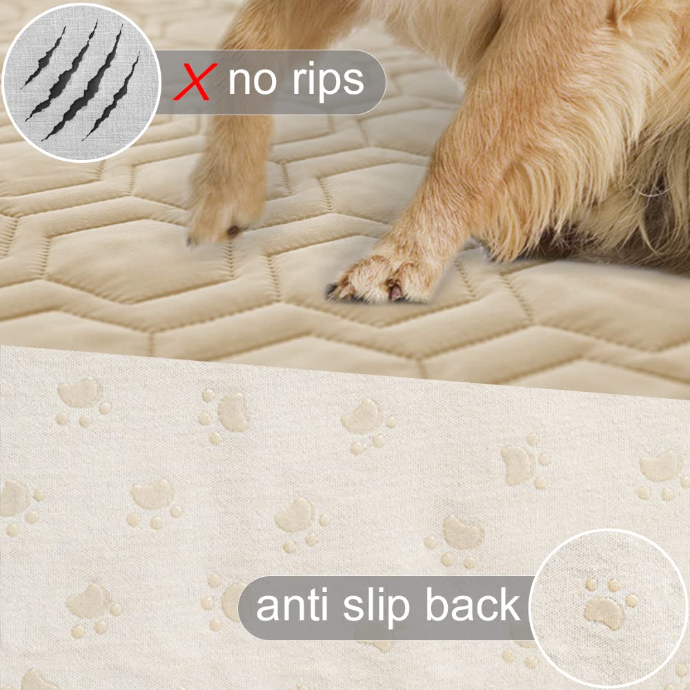 Tcksstex non-slip underside close-up demonstrates stability on smooth floors
