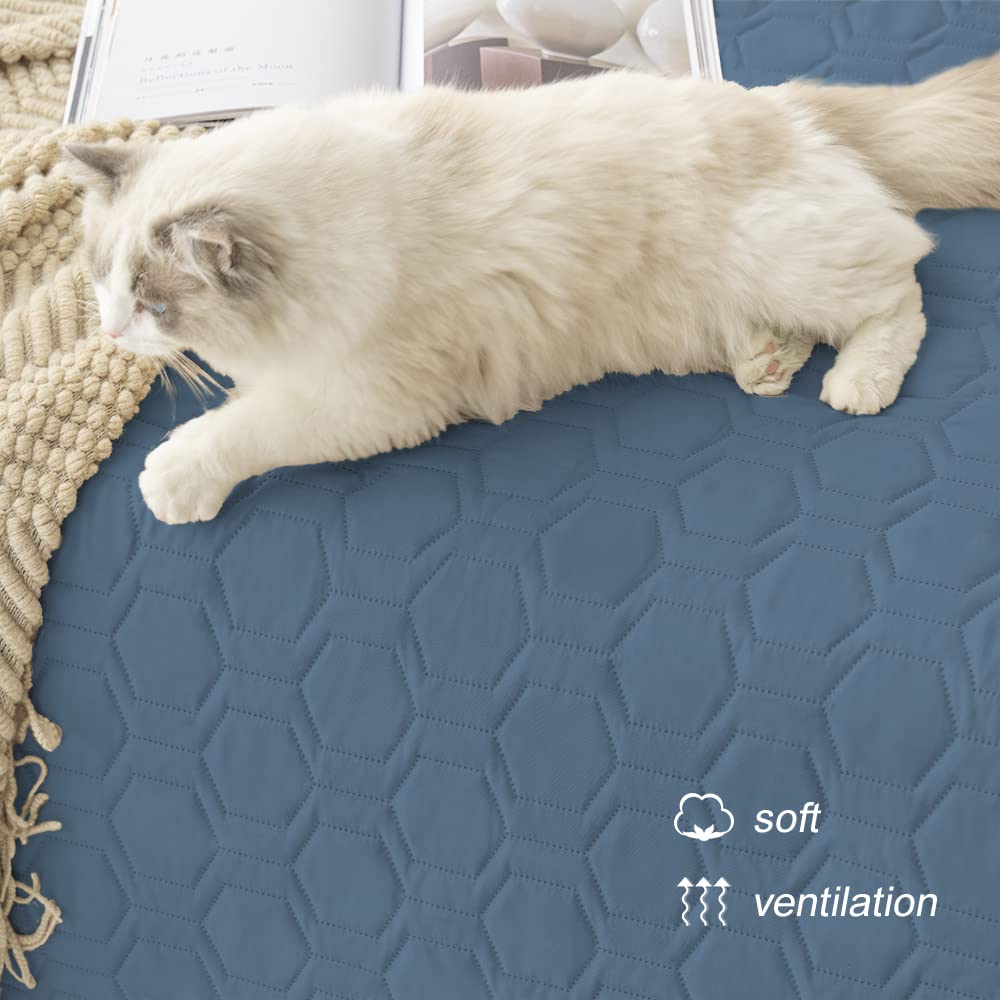 Tcksstex outdoor-use picnic mat demonstrates versatile travel-friendly pet blanket