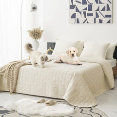 Tcksstex waterproof dog bed cover in ivory protects furniture from spills.
