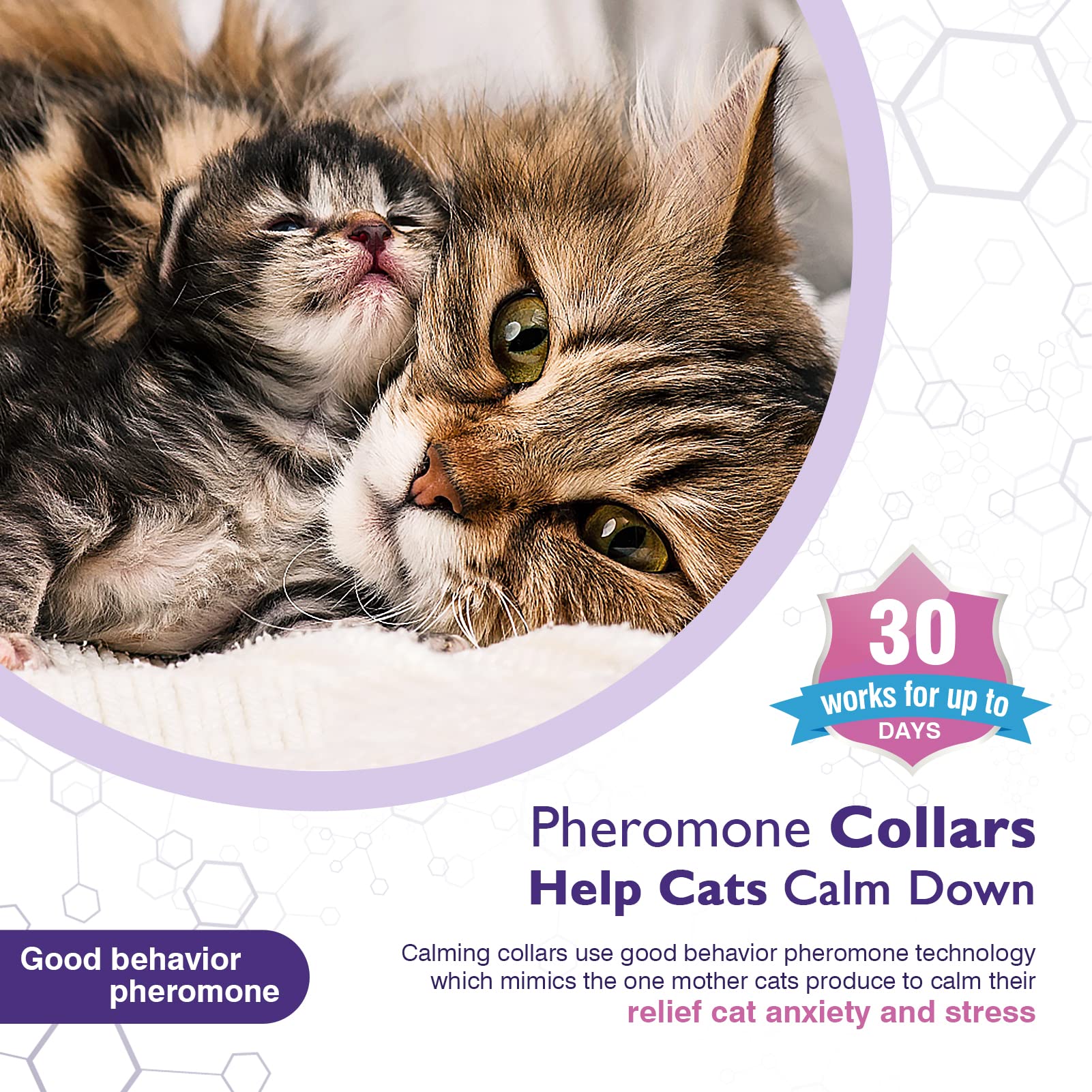 Tcllka calming collar pheromone release closeup highlights discreet anxiety relief.