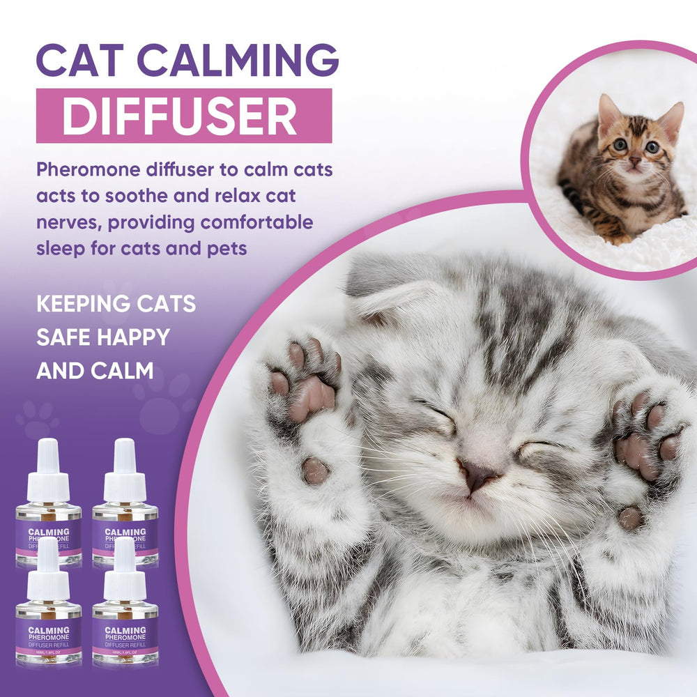 Tcllka sleep-friendly diffuser scene shows soothing calm during quiet evenings.
