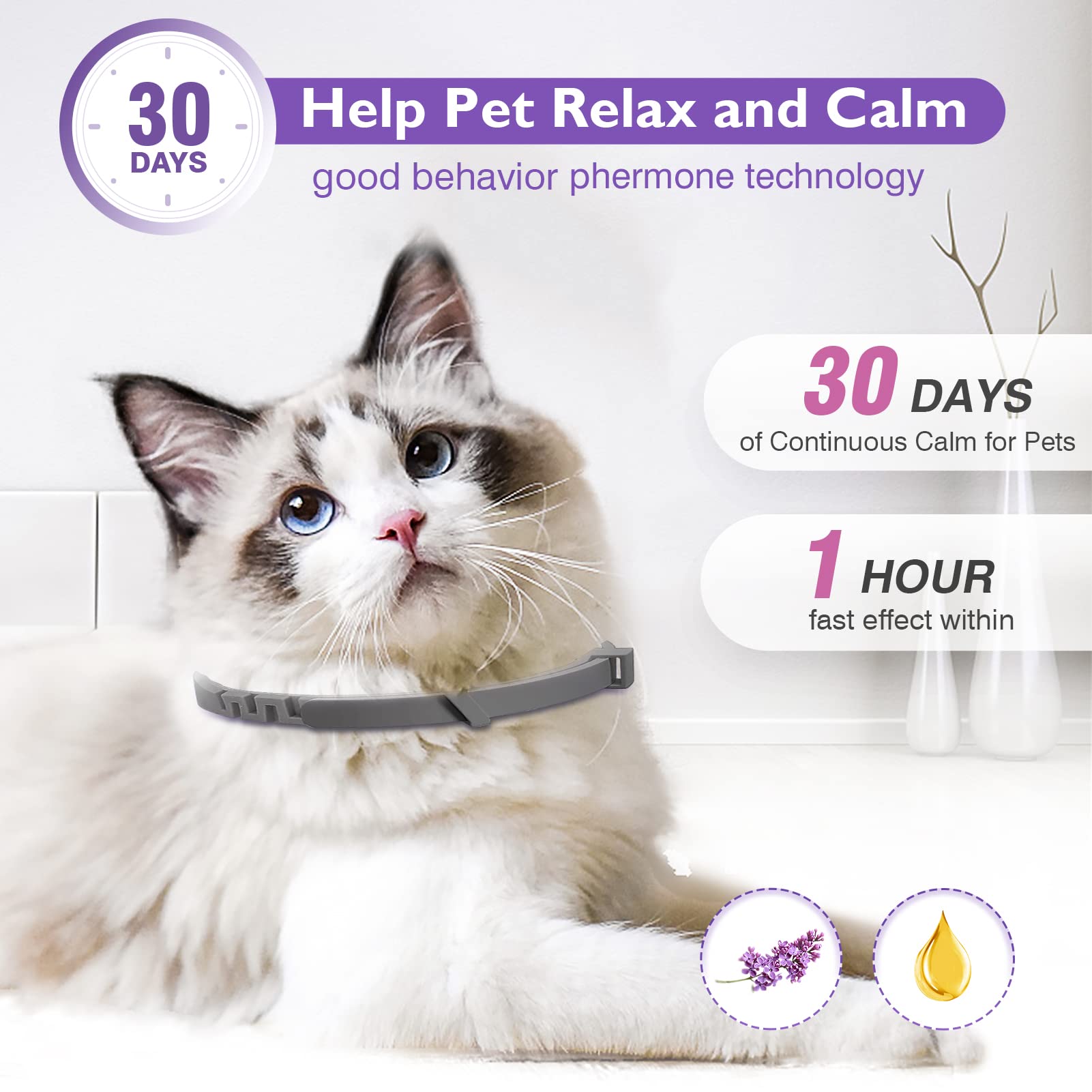 Tcllka waterproof calming collar designed for comfortable wear during play and rain.
