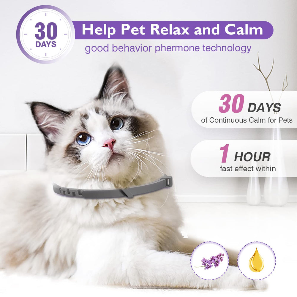 Tcllka waterproof calming collar designed for comfortable wear during play and rain.