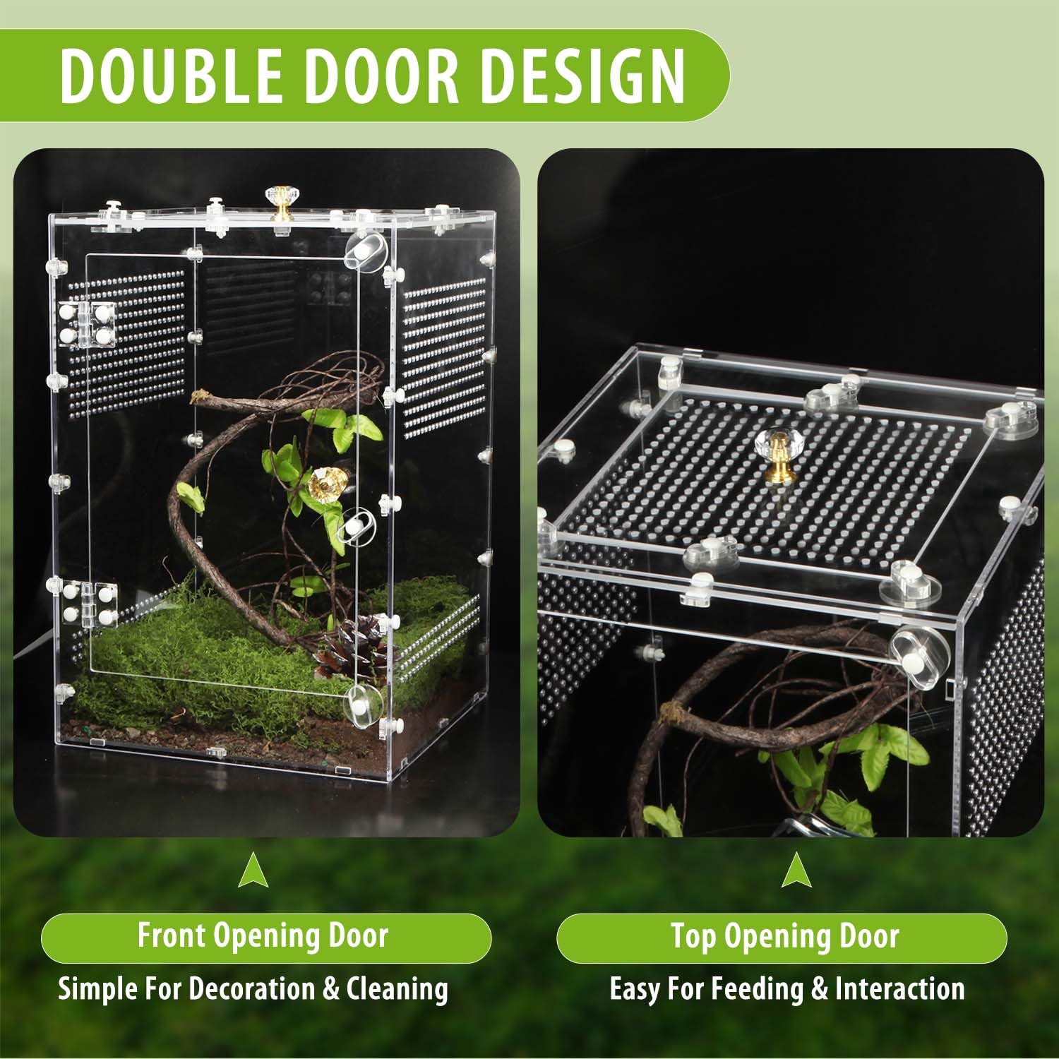 TCooSo Reptile Enclosure clear-view design lets you watch your pet from all angles.