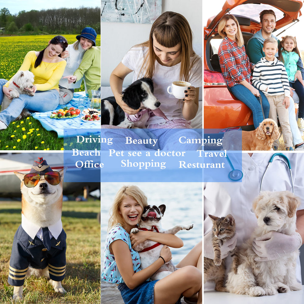 TDHDIKE cat dog carrier airline-approved layout supports convenient travel and under-seat use.