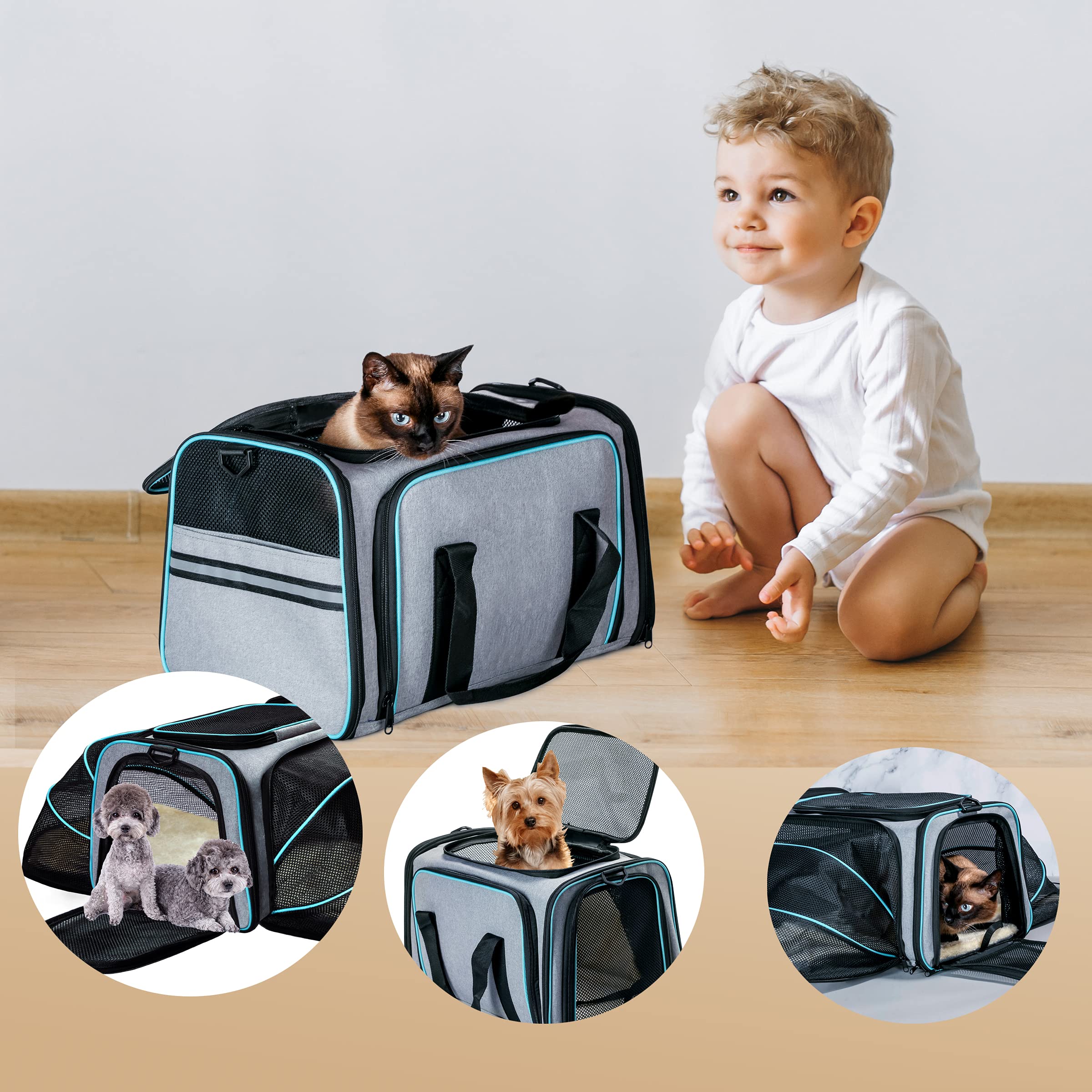 TDHDIKE cat dog carrier padded-shoulder-strap ensures easy carrying options.