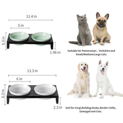 TEAKISS elevated metal stand with bowls demonstrates stable feeding height for comfortable mealtimes