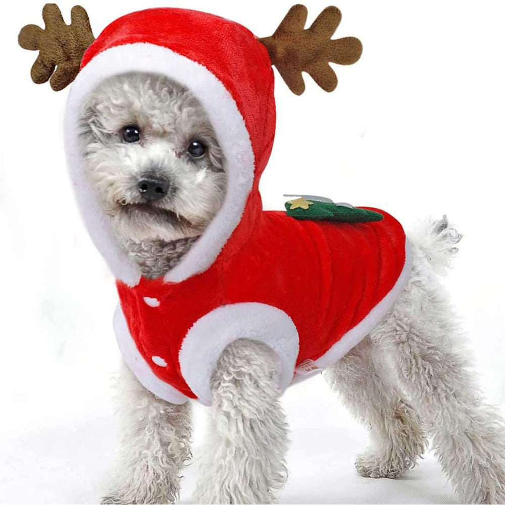 Tealots dog christmas costume santa-hoodie, ideal for festive holiday photos.