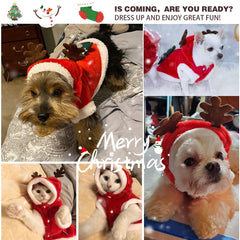 Tealots dog-costume-easy-on-closure-button, quick dressing for busy mornings.