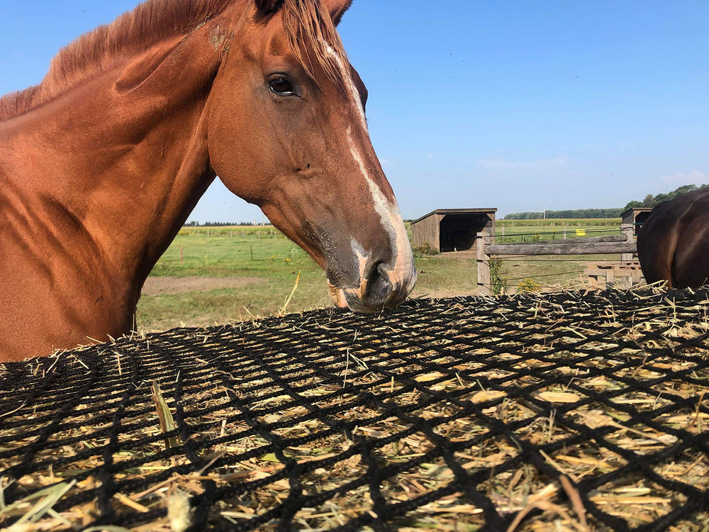 Tech Equestrian haynet repair kit included for quick fixes and maintenance.