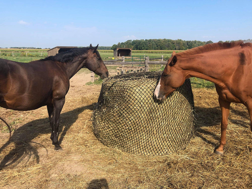 Tech Equestrian knotless netting close-up highlights soft contact for horses.