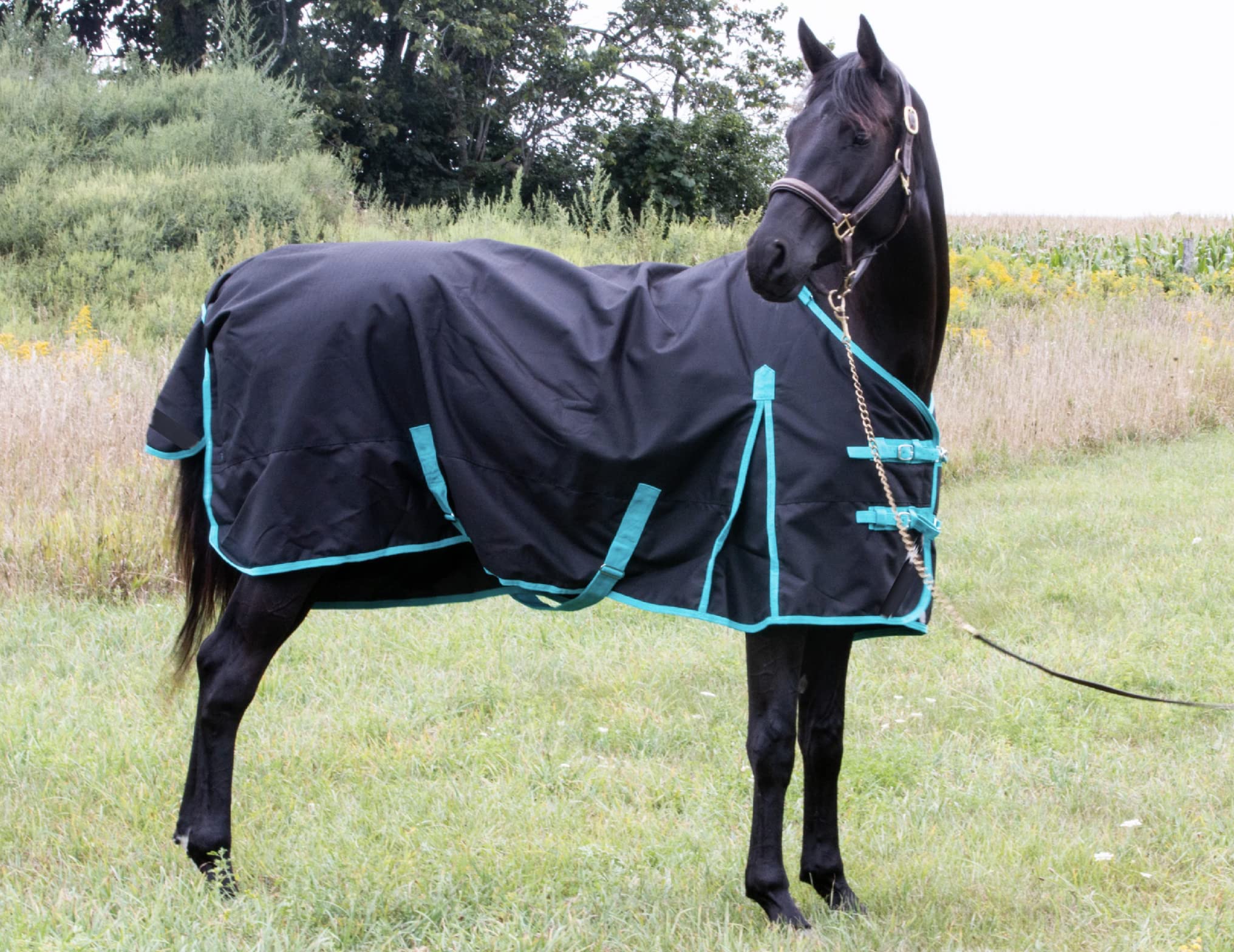 Tech Equestrian rainsheet front closure provides secure buckles plus Velcro for a snug fit.