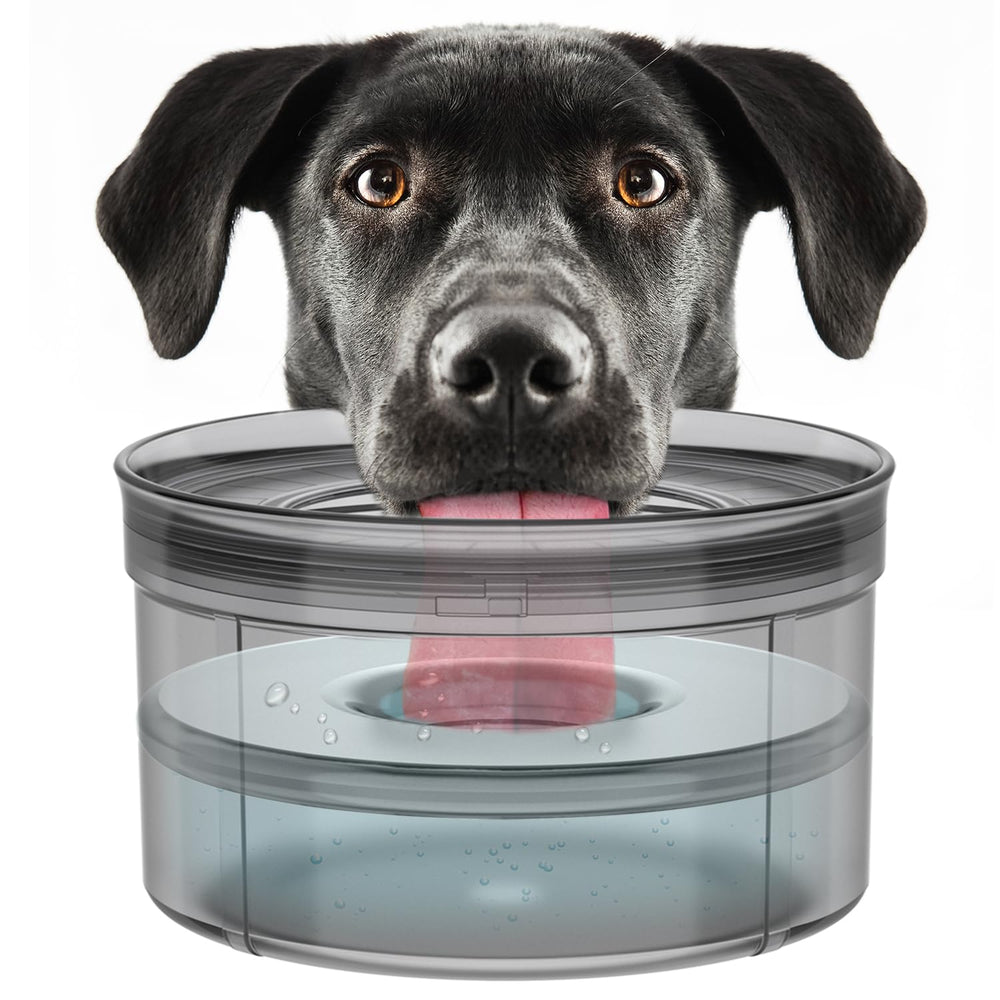 Techphardo anti-digging design helps prevent paw disturbance during meals.