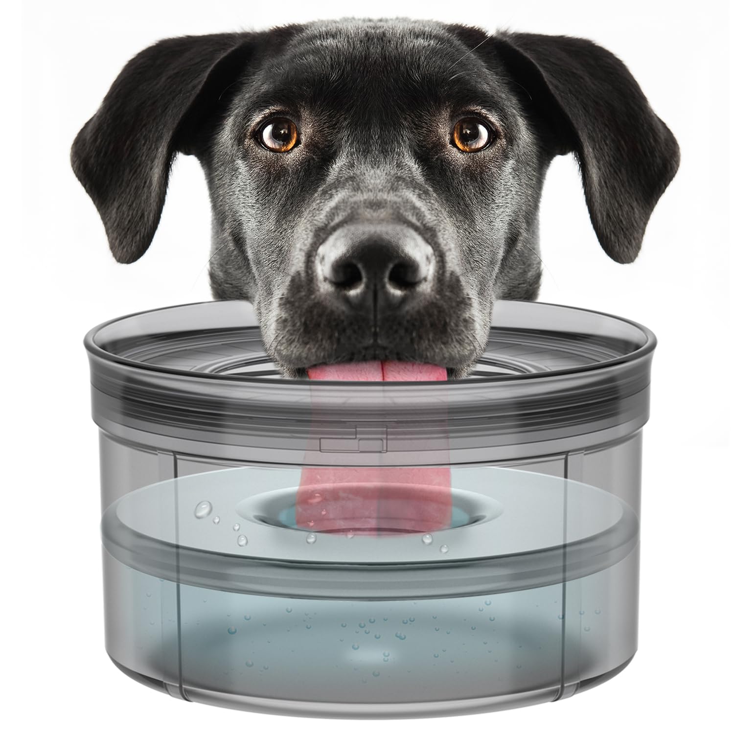 Techphardo anti-digging design protects floors when long-haired dogs drink.