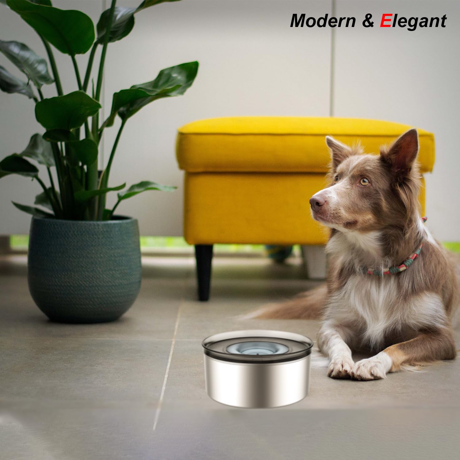 Techphardo dog bowl in action; messy drinkers stay contained.