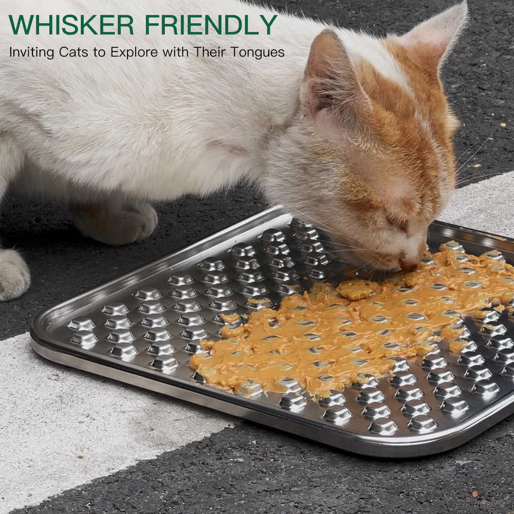 Techphardo seamless stainless surface in sink – dishwasher-safe for quick cleaning.